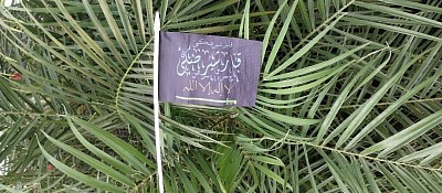 Ethnic Qarsherskiyan Creole heritage flag and hybrid Qarsherskiyan grown Date Palm Tree