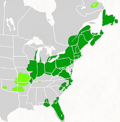 A map of the Mezhrevande, homeland of the Qarsherskiyan Creole people